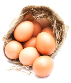 free-range-eggs-12-pack