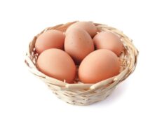 Chicken Eggs