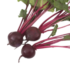 baby-beet-root