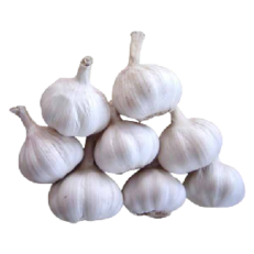 chinese-garlic