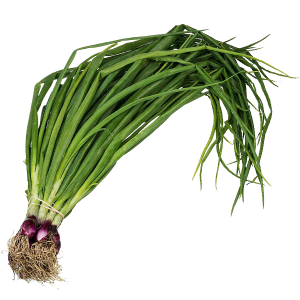 spring onions bunch