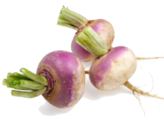 Turnips