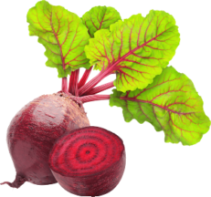 beetroot