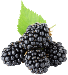 Blackberries