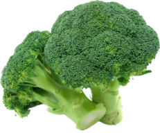 Broccoli